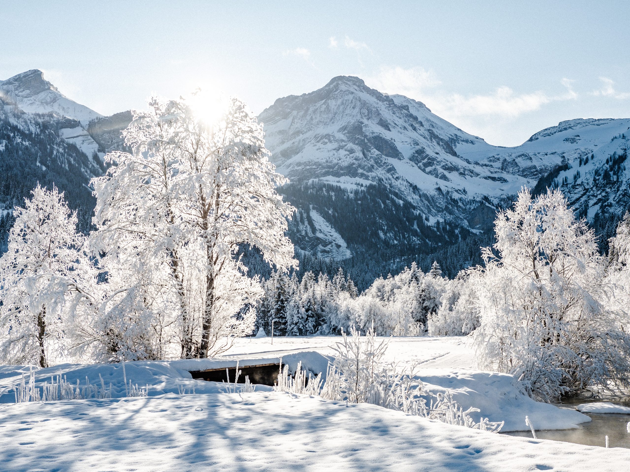 Winter Wonderland in Gstaad, Switzerland - Svetlana Damiani